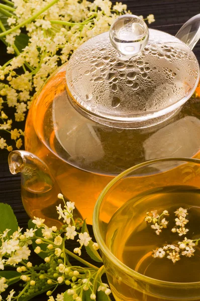 Herbal medicine, tea with elder flower — Stok fotoğraf