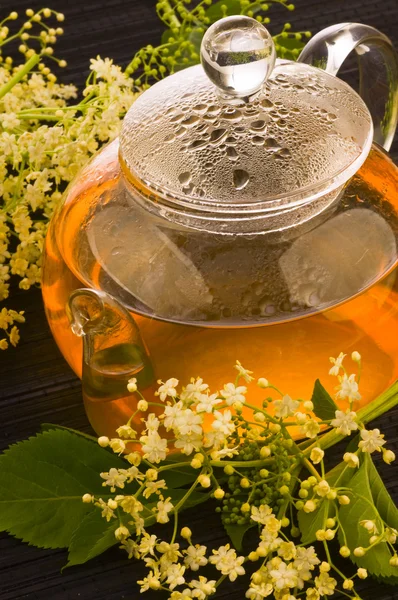 Medicina herbal, té con flor de saúco — Foto de Stock