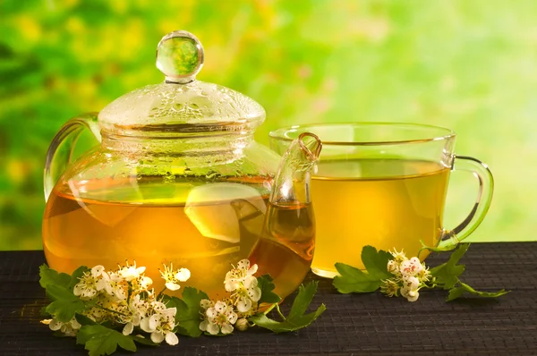 Kräutermedizin, Tee mit Weißdornblüte — Stockfoto