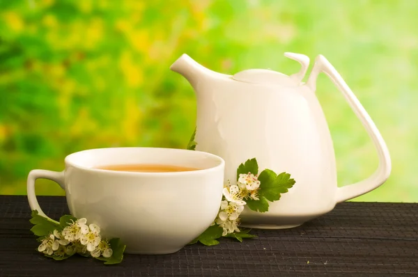 Fitoterapia, chá com flor de espinheiro — Fotografia de Stock