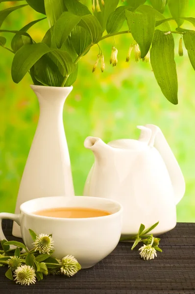 Herbal medicine, tea with clower flower — Stock Photo, Image