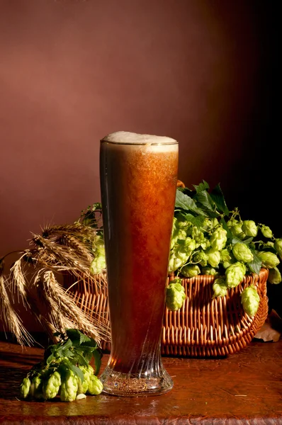 Glas bier en hop — Stockfoto