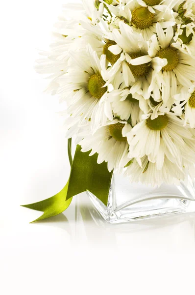 Bouquet de marguerites fraîches dans un vase, isolé sur blanc — Photo