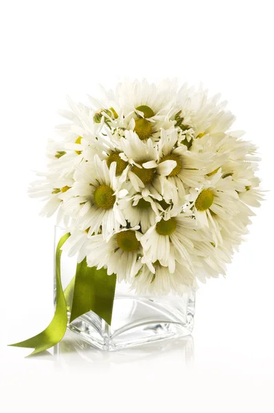 Bouquet de marguerites fraîches dans un vase, isolé sur blanc — Photo