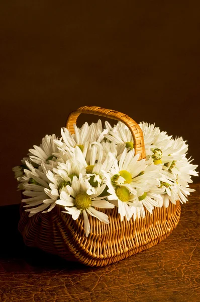 在篮子里的新鲜的雏菊花束 — 图库照片