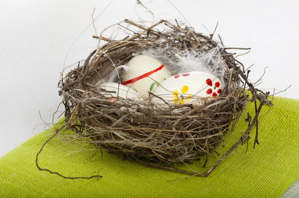 Color eggs in nest — Stock Photo, Image