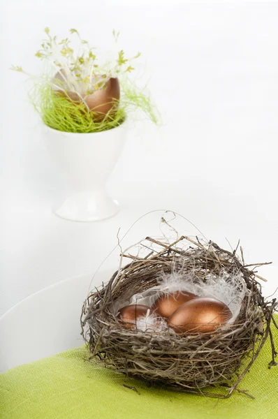 Goldene Eier im Nest — Stockfoto