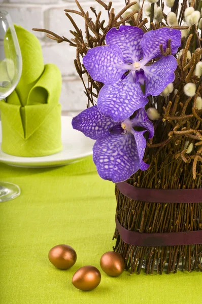 Букет з орхідей і кицька-воля — стокове фото