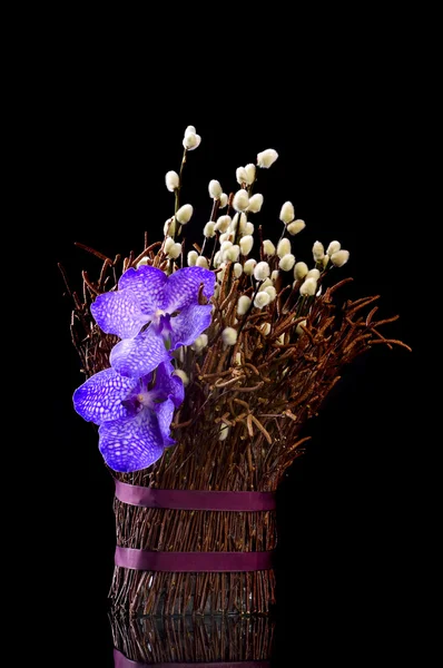 En bukett av orkidéer och fitta-willows — Stockfoto