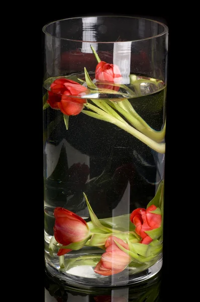 Tulpen in goblet — Stockfoto