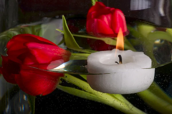 Тюльпаны и свечи — стоковое фото