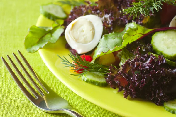 Frischer gesunder Salat — Stockfoto
