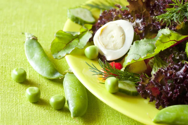 Fresh healthy Salad — Stock Photo, Image