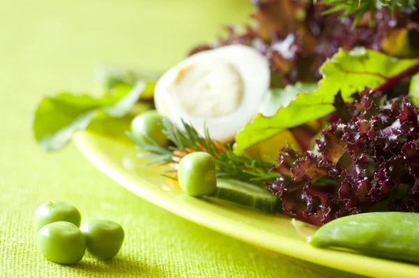 Salada fresca e saudável — Fotografia de Stock