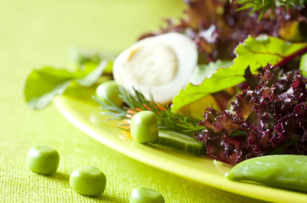 Salada fresca e saudável — Fotografia de Stock