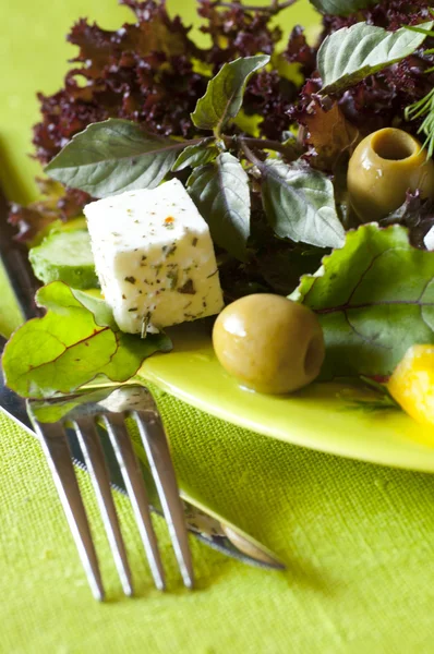 Vegetarian fresh healthy salad with tofu — Stock Photo, Image