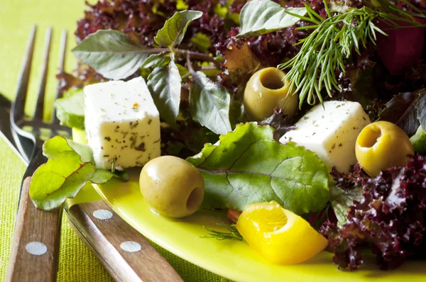 Vegetarischer frischer gesunder Salat mit Tofu — Stockfoto