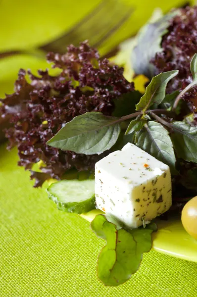 Vejeteryan taze sağlıklı salata ile tofu — Ücretsiz Stok Fotoğraf