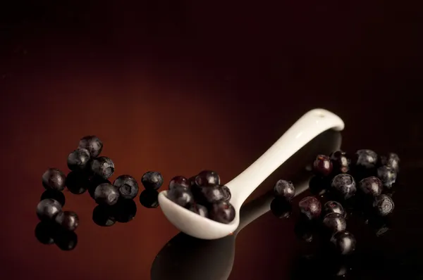 Taze bilberry kaşık karanlık içinde — Ücretsiz Stok Fotoğraf
