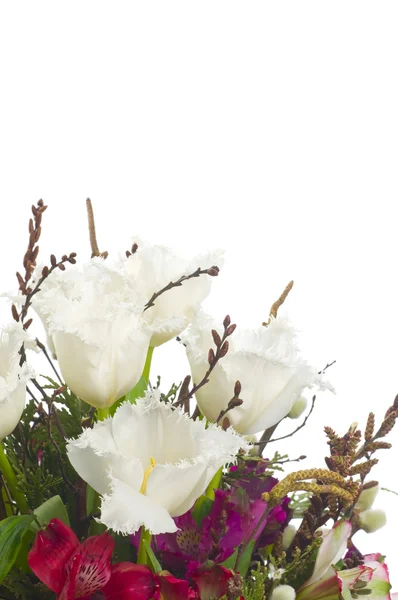 A bouquet of tulips, willow and arborvitae, isolated on white — Stock Photo, Image