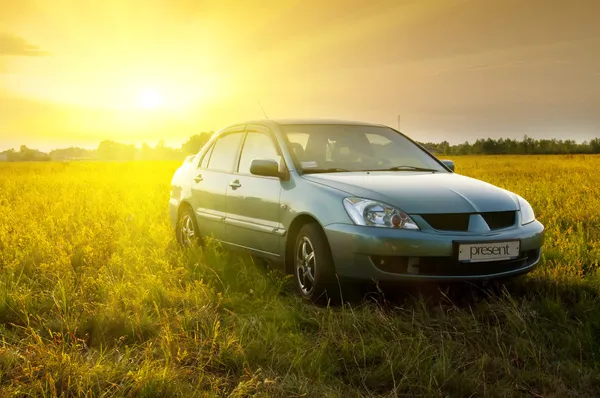 Car in field — Stock Photo, Image