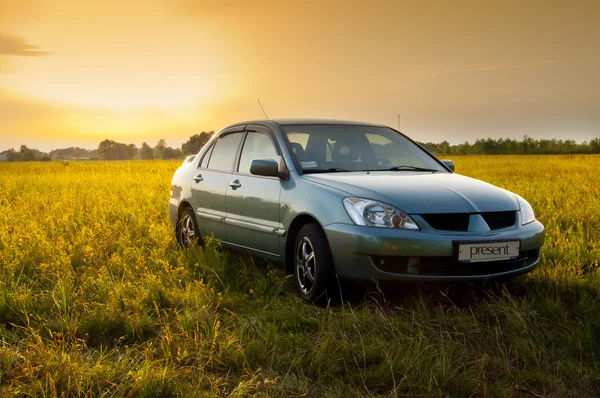 Car in field — Stock Photo, Image