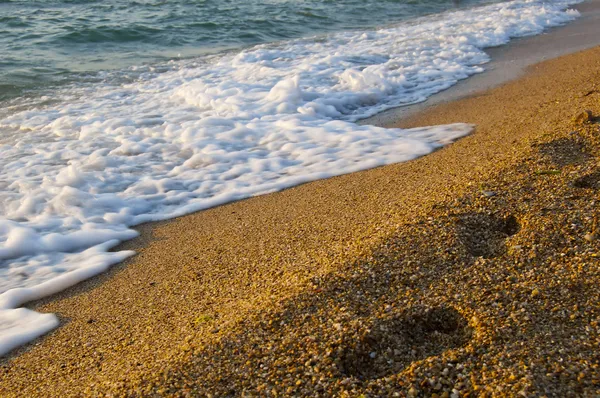 Playa de mar — Foto de stock gratis