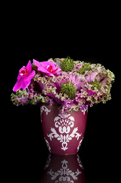 Bouquet de orquídeas — Fotografia de Stock