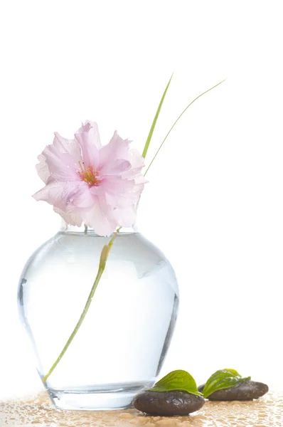 Bouquet minimalisme — Photo