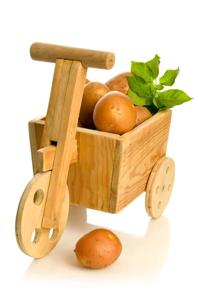 Fresh potato — Stock Photo, Image