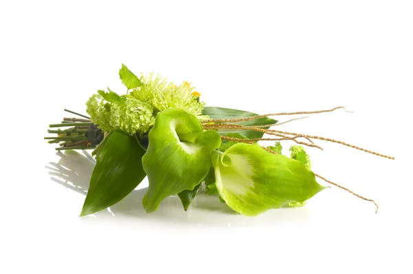 Green Alepes kalla bouquet — Stock Photo, Image