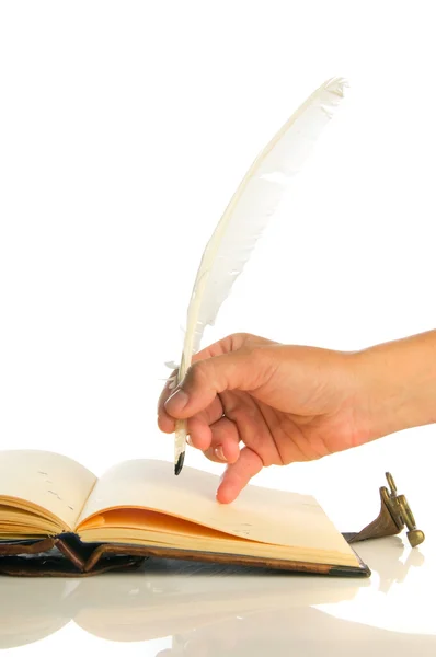 Empty book and Feather — Stock Photo, Image