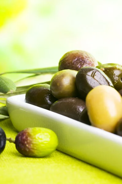 Provsmakning oliv — Gratis stockfoto