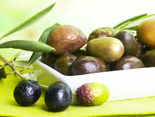 Verkostung von Oliven — kostenloses Stockfoto