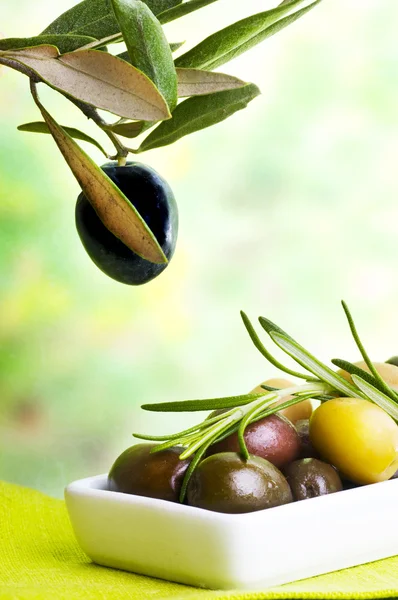 Verkostung von Oliven — Stockfoto