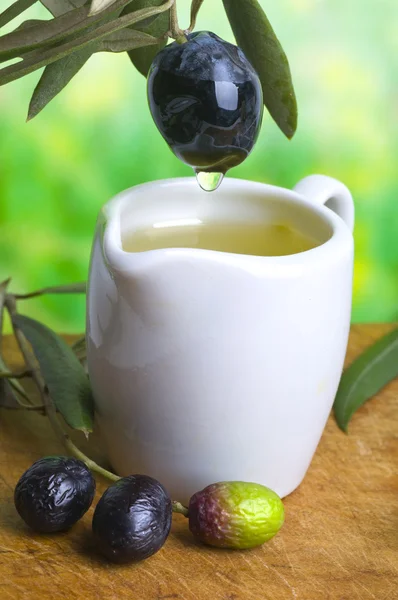 Tasting olive oil — Stock Photo, Image