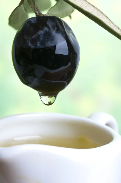 Cicipi minyak zaitun — Foto Stok Gratis