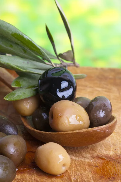 Olivenöl probieren — kostenloses Stockfoto