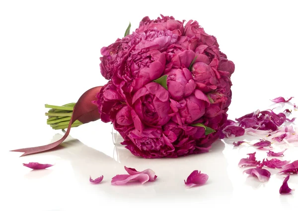 Peonia bouquet — Foto Stock
