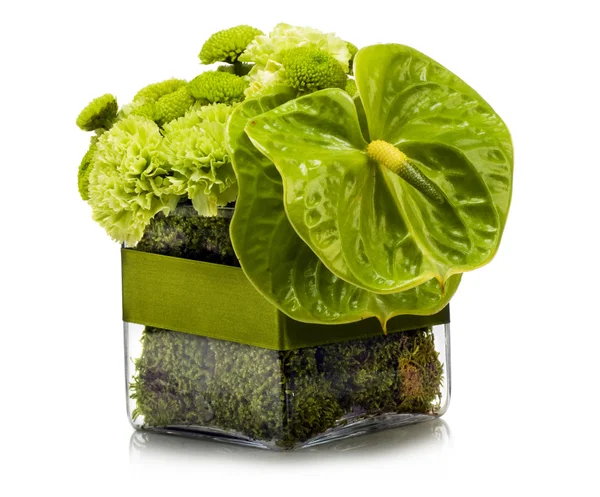 Anthurium boquet — Stock Photo, Image