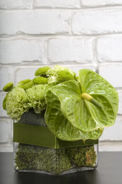 Boquet di Anthurium — Foto Stock