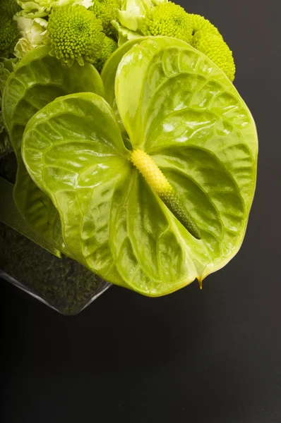 Anthurium boquet — Stock Photo, Image