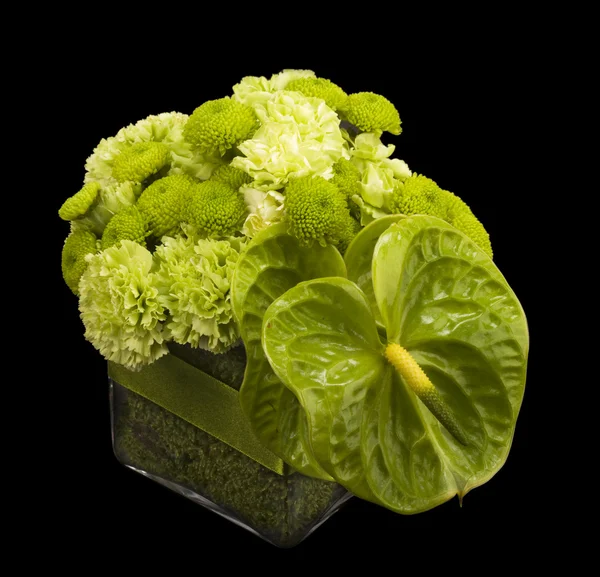 Boquet di Anthurium — Foto Stock