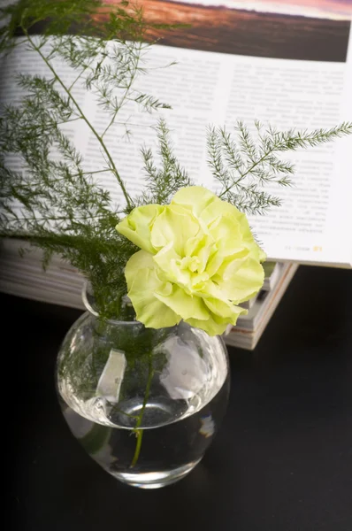 Goździk kwiat boquet — Zdjęcie stockowe