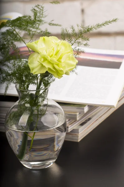 Boquet de flores de clavel — Foto de Stock