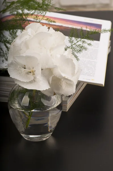 Hydrangea blomman boquet — Stockfoto