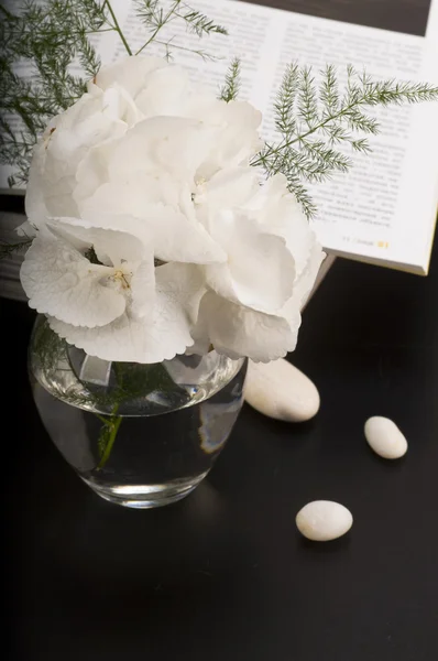 Ortanca çiçek boquet — Stok fotoğraf