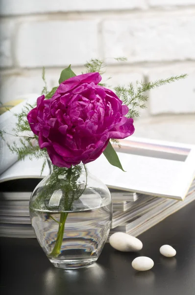 Boquet di fiori di peonia — Foto Stock