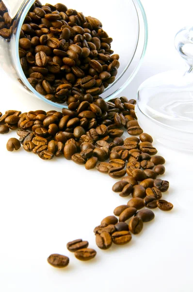 Granos de café y frasco de café — Foto de Stock