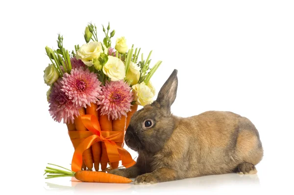 Rabbit with flower decoration — Stock Photo, Image